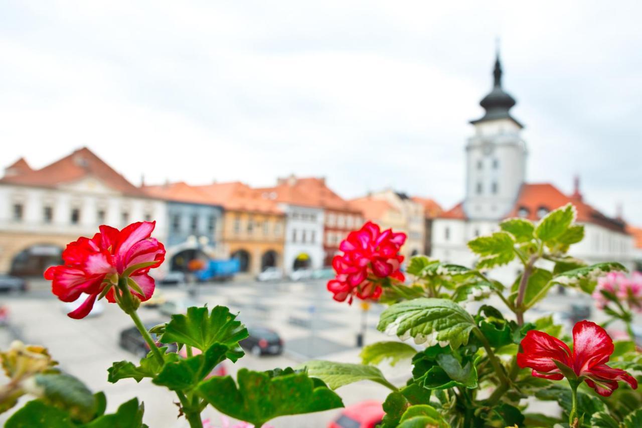 Hotel U Hada Zatec Dış mekan fotoğraf
